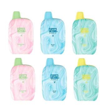 Flum Pebble X 6000 Puffs Disposable Vapes